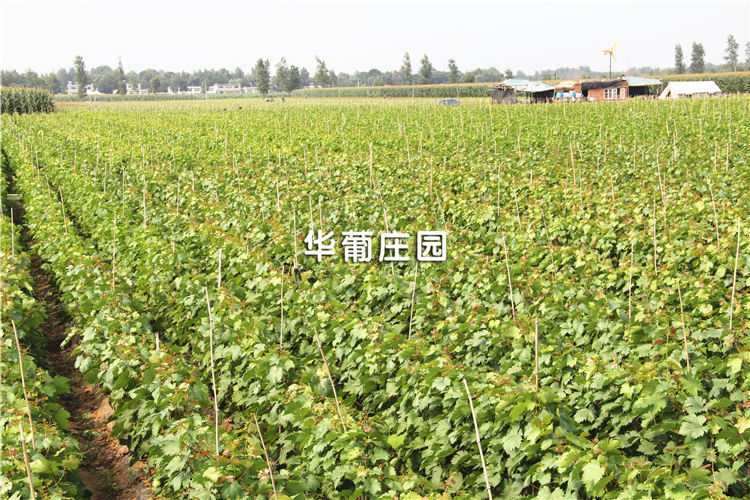 Q37ϵ�й��̙C(j��)е����C(j��)